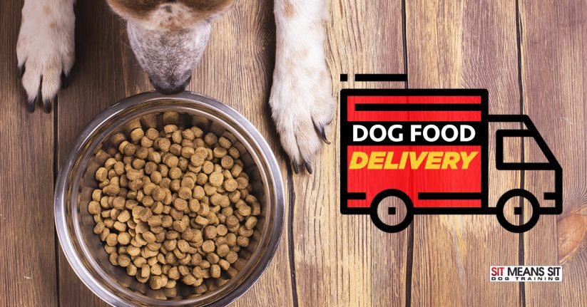 Looking for Fresh Dog Food? Check Out These Delivery Services