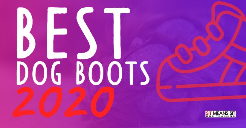 The Best Dog Boots for 2020
