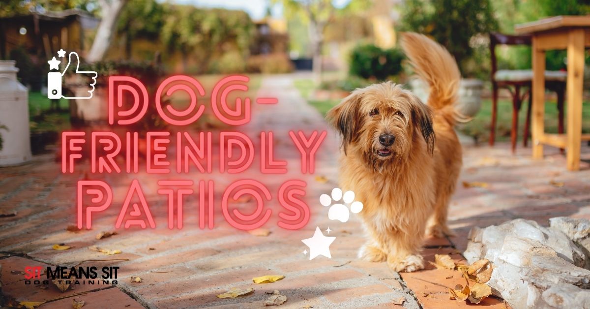 Dog-Friendly Chicago Patios for Fall