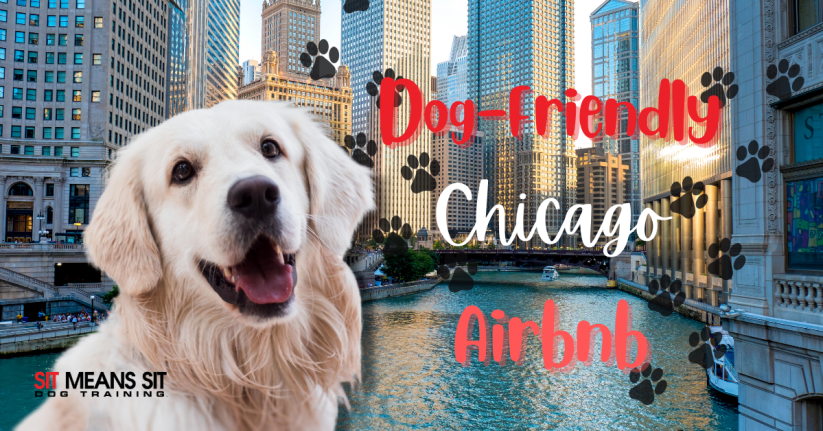 Dog-Friendly Airbnbs in Chicago