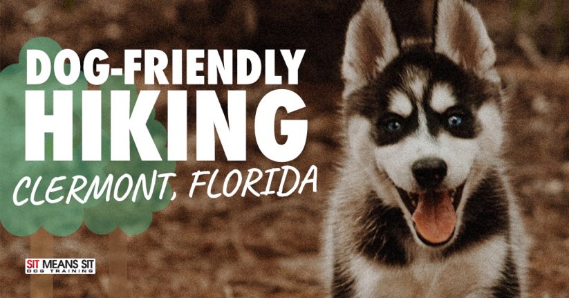 Dog Friendly Hiking in Clermont