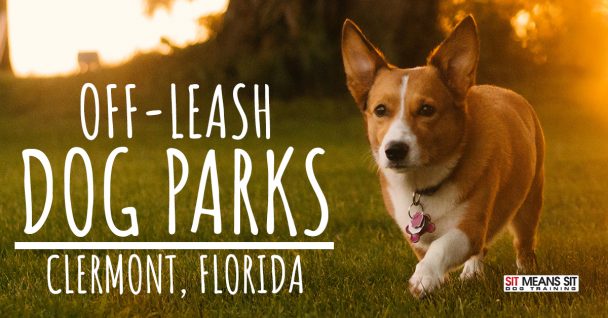 Off-Leash Dog Parks in Clermont, FL
