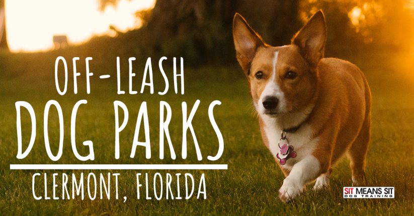 Off-Leash Dog Parks in Clermont, FL