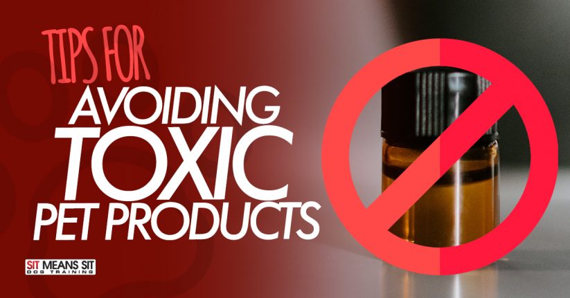 Tips for Avoiding Toxic Pet Products