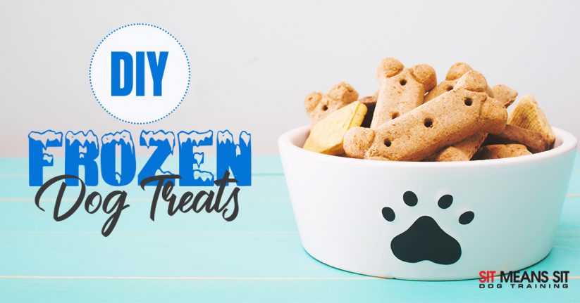 DIY Frozen Dog Treats