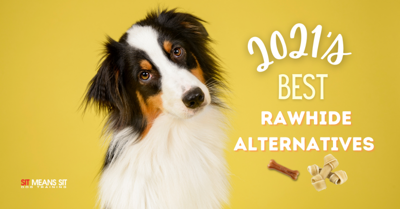The Best Rawhide Alternatives for Dogs in 2021