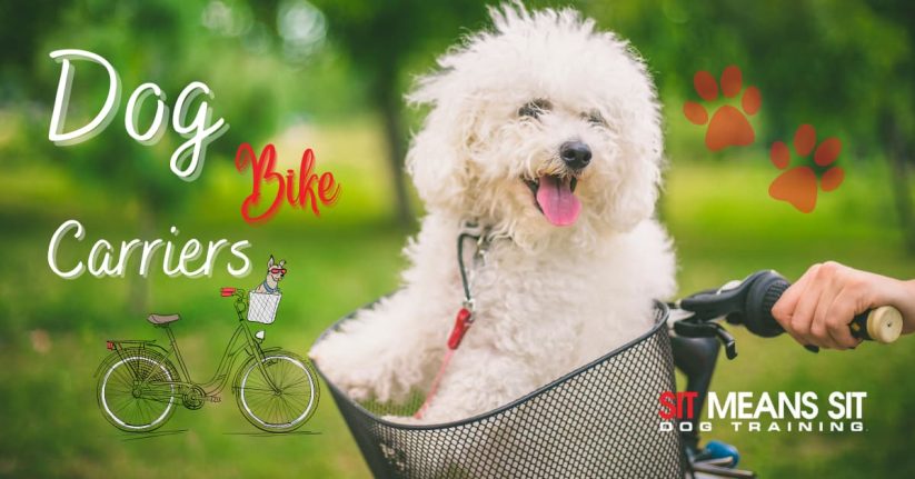 Dog Carriers for Your Bike