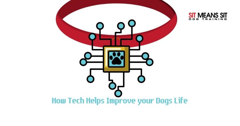 how-tech-helps-improve-your-dogs-life-smsClermont