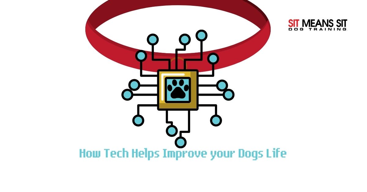 how-tech-helps-improve-your-dogs-life-smsClermont