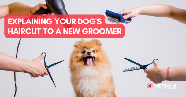 A dog getting groomed with the text explaining your dog haircuts to a new groomer poster