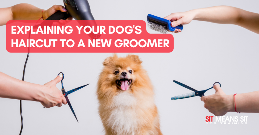 A dog getting groomed with the text explaining your dog haircuts to a new groomer poster