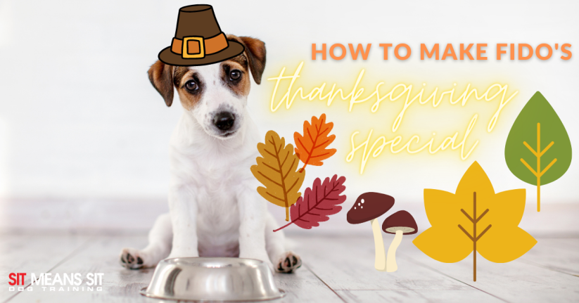 A dog sitting with a food bowl in front with the text how to make fido's thanksgiving special poster