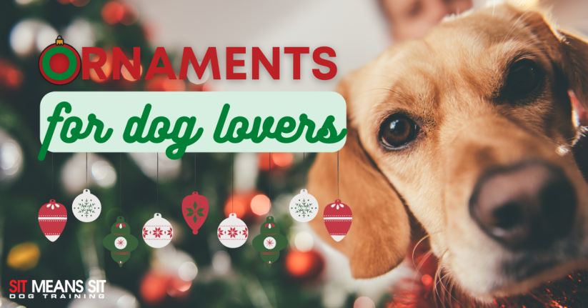 A close up of a dog with the text ornaments for dog lovers poster