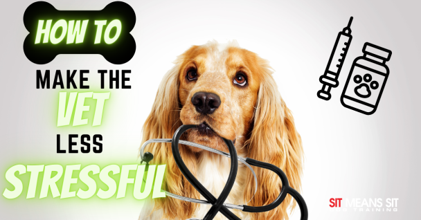A dog with the text how to make the vet less stressful poster