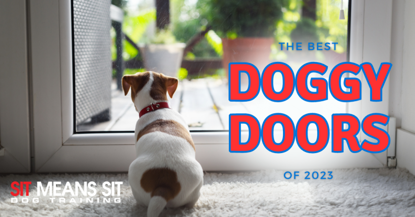 A dog looking out the door with the text the best doggy doors of 2023 poster
