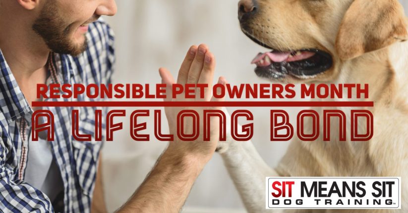 Responsible Pet Owners Month - A Lifelong Bond