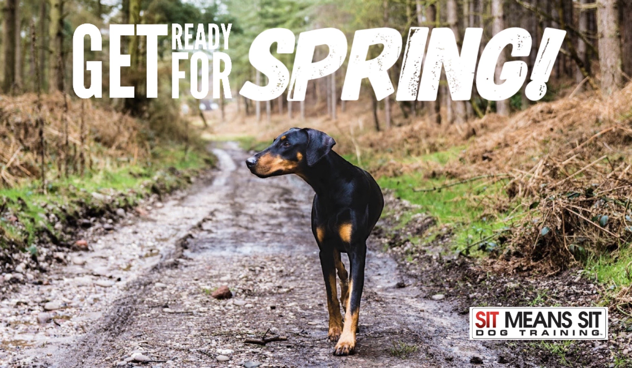 Get ready for spring poster