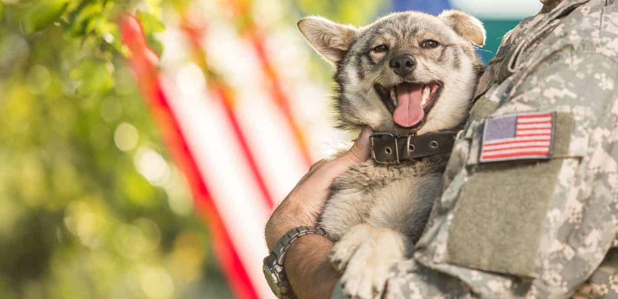 A dog smiling in a soldiers arms posing for a photo