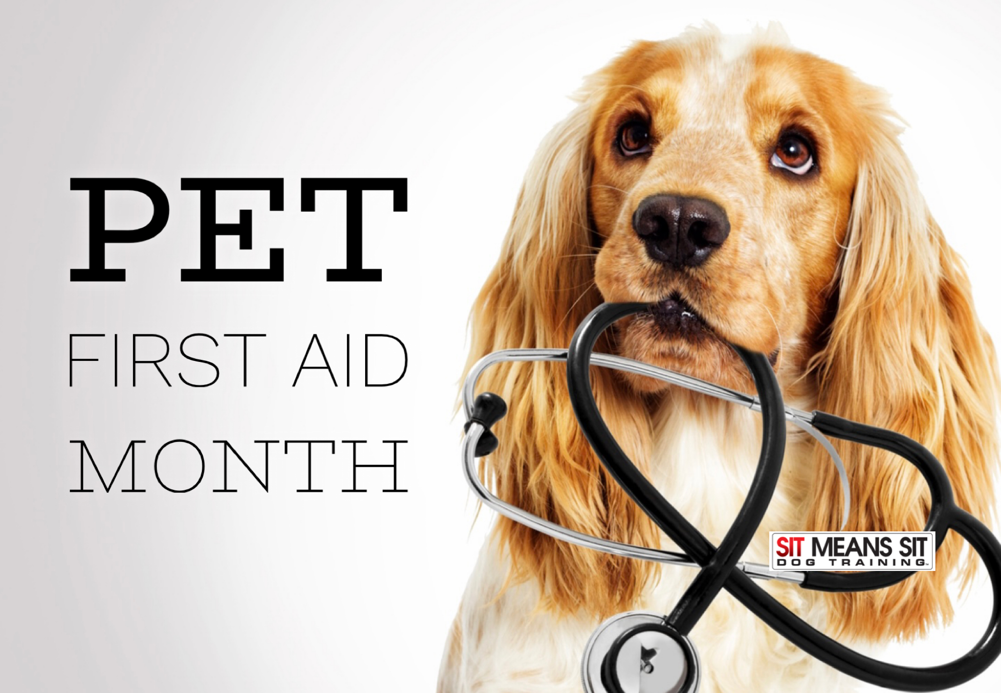 Pet first aid month poster