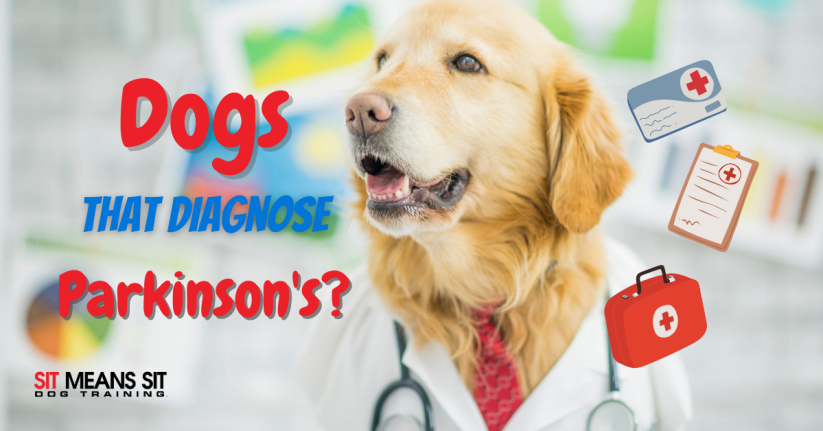 How Dogs are Being Trained to Diagnose Parkinson's