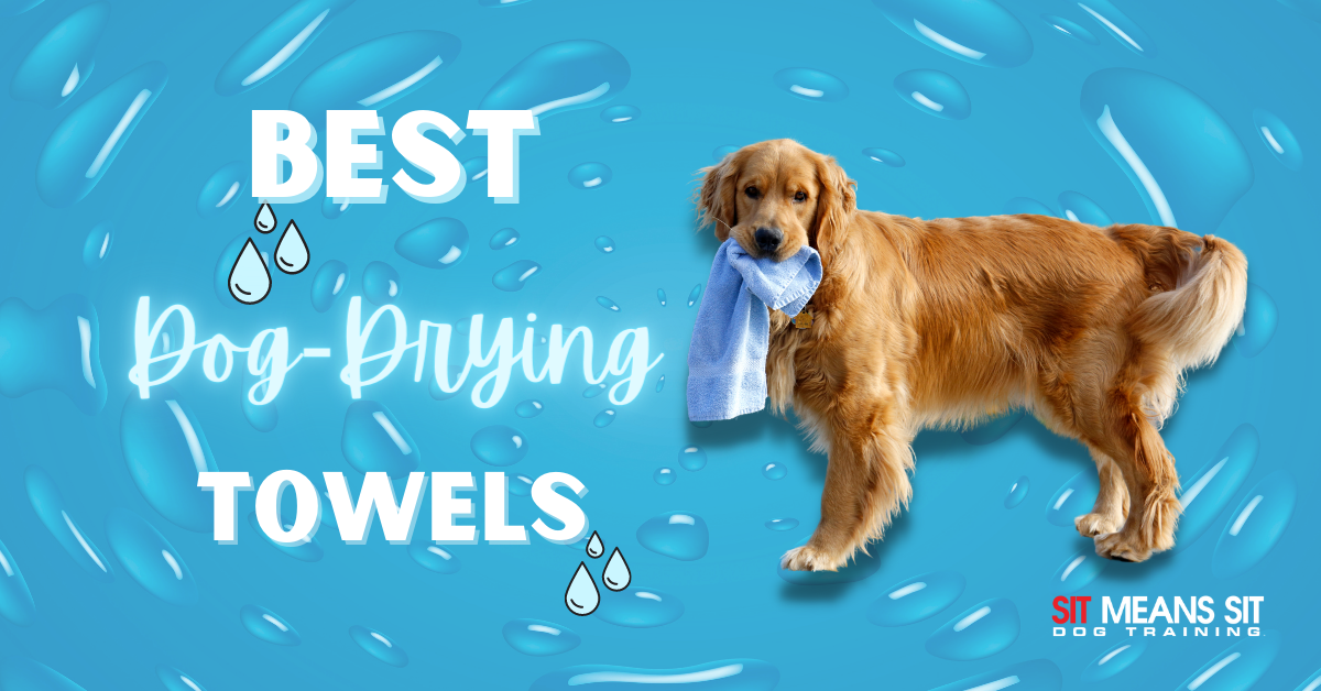 The Best Towels for Drying Your Dog