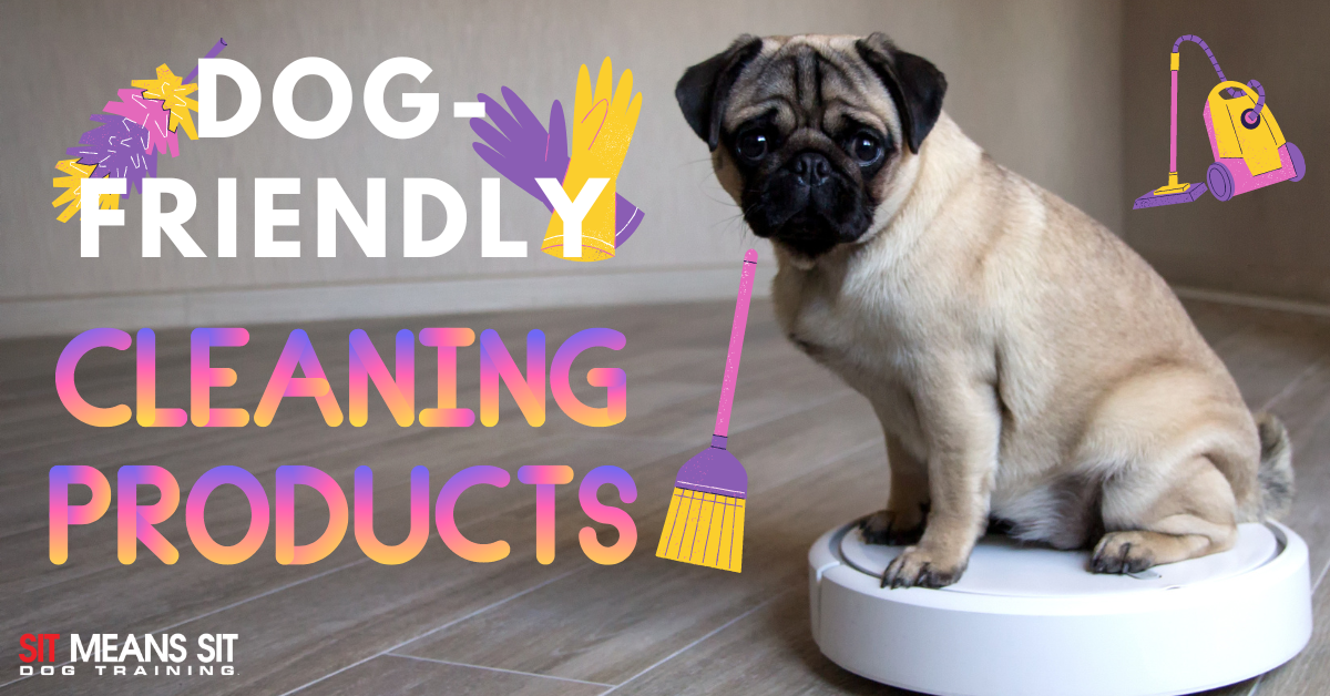 12 Tips for Pet Friendly Cleaning Supplies - Top Dog Pet Sitters