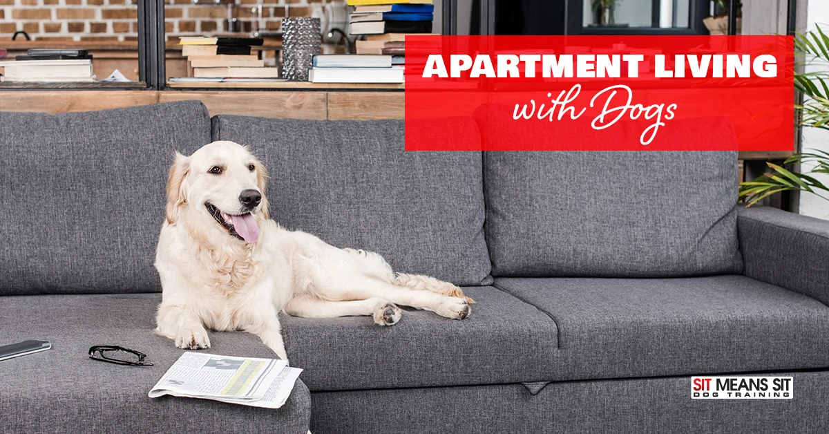 apartment living with dogs poster with a dog panting lying on a couch