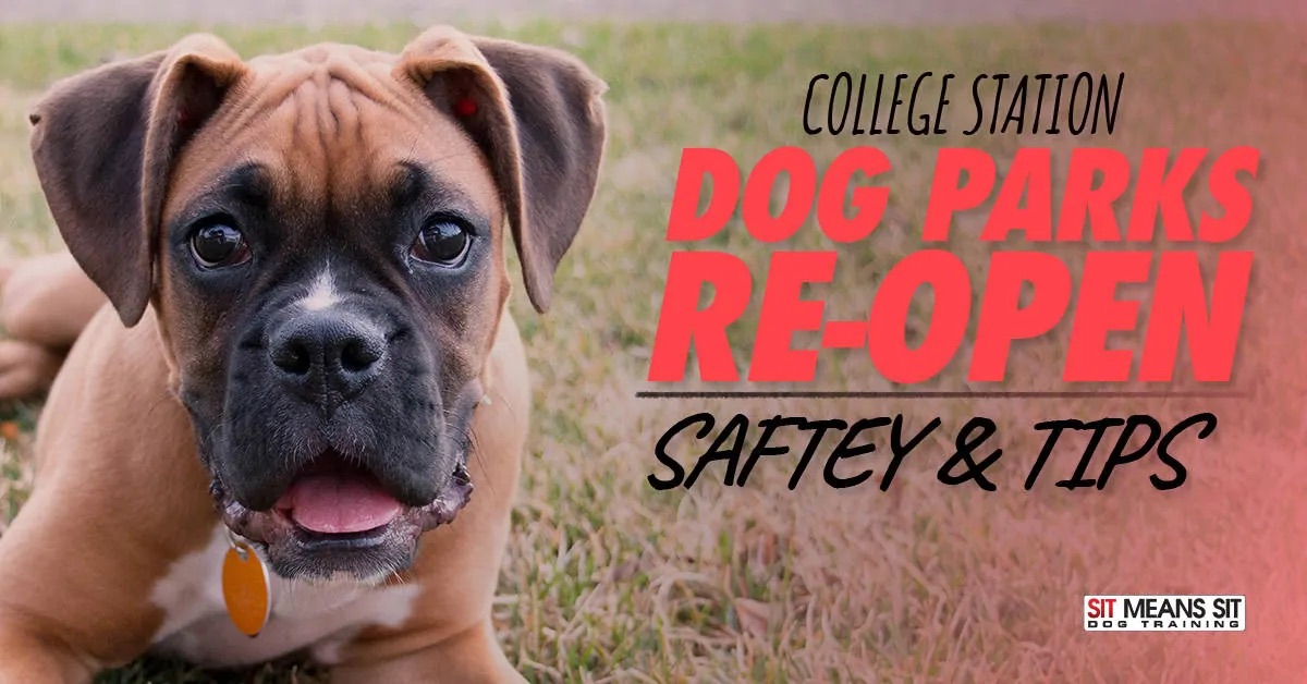 College station dog parks re open safety and tips poster