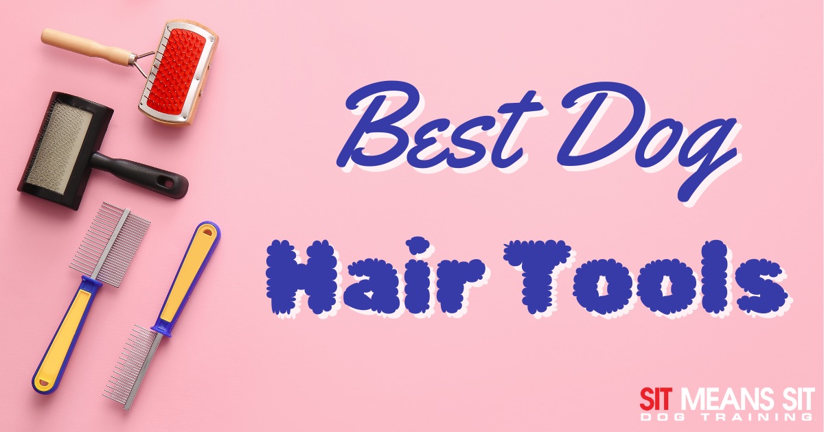 Dog Hair Removal Tools That Actually Work poster