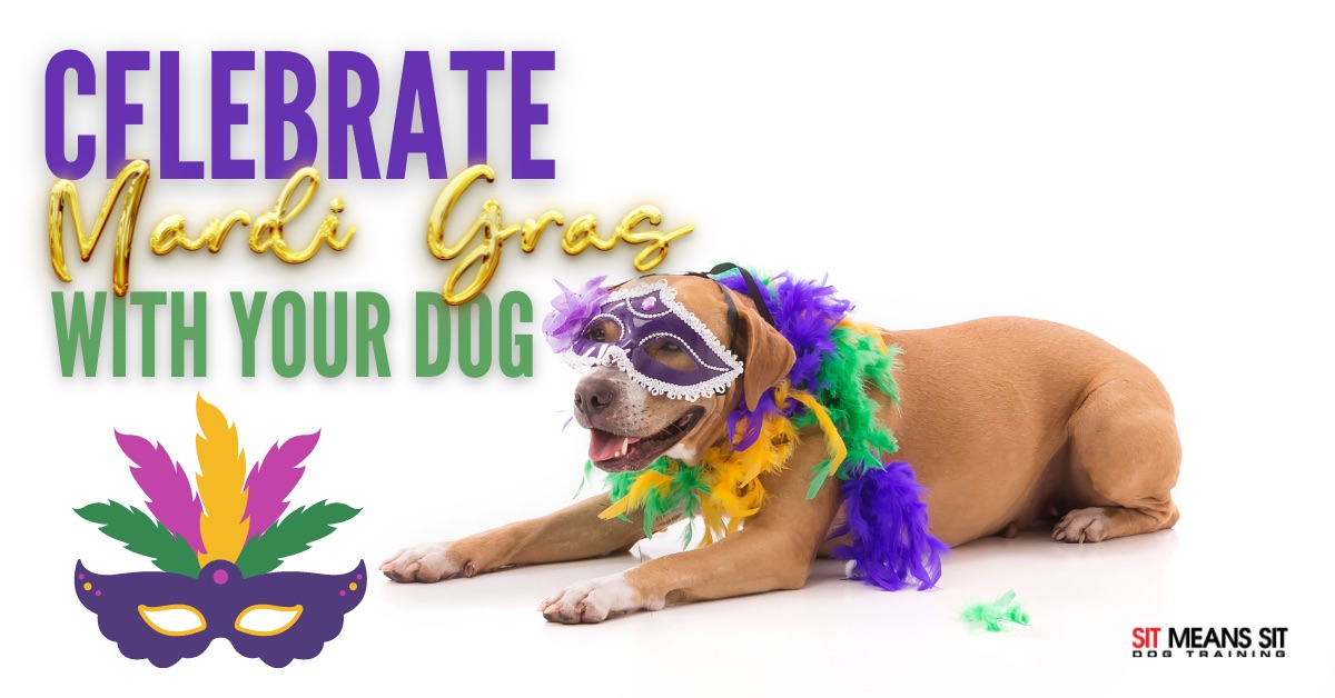 A dog wearing a mask with the text celebrate Mardi Gras with your dog poster