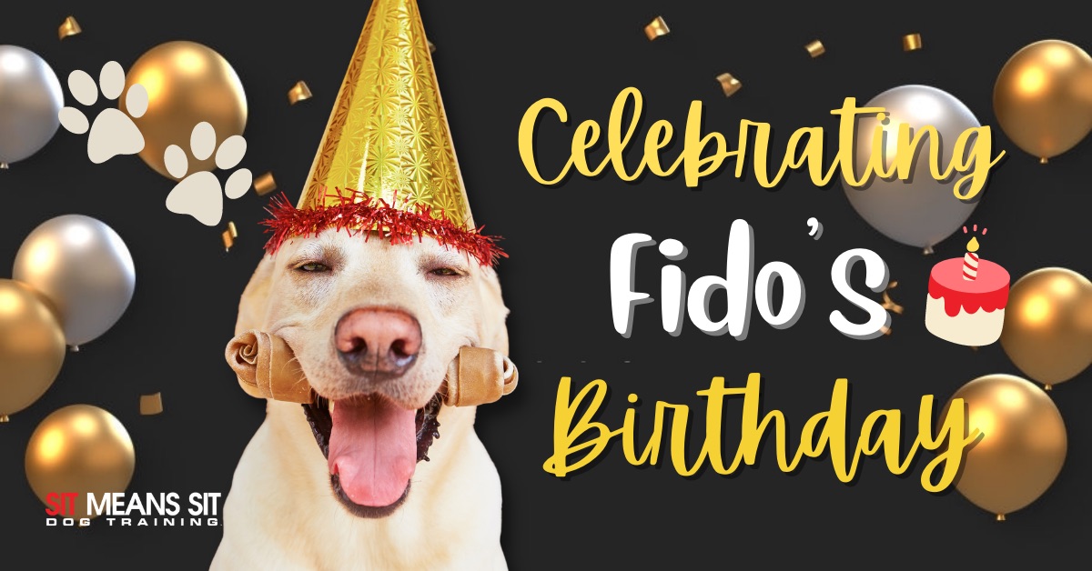 Fun ways to celebrate your dogs birthday with a dog wearing a birthday hat poster