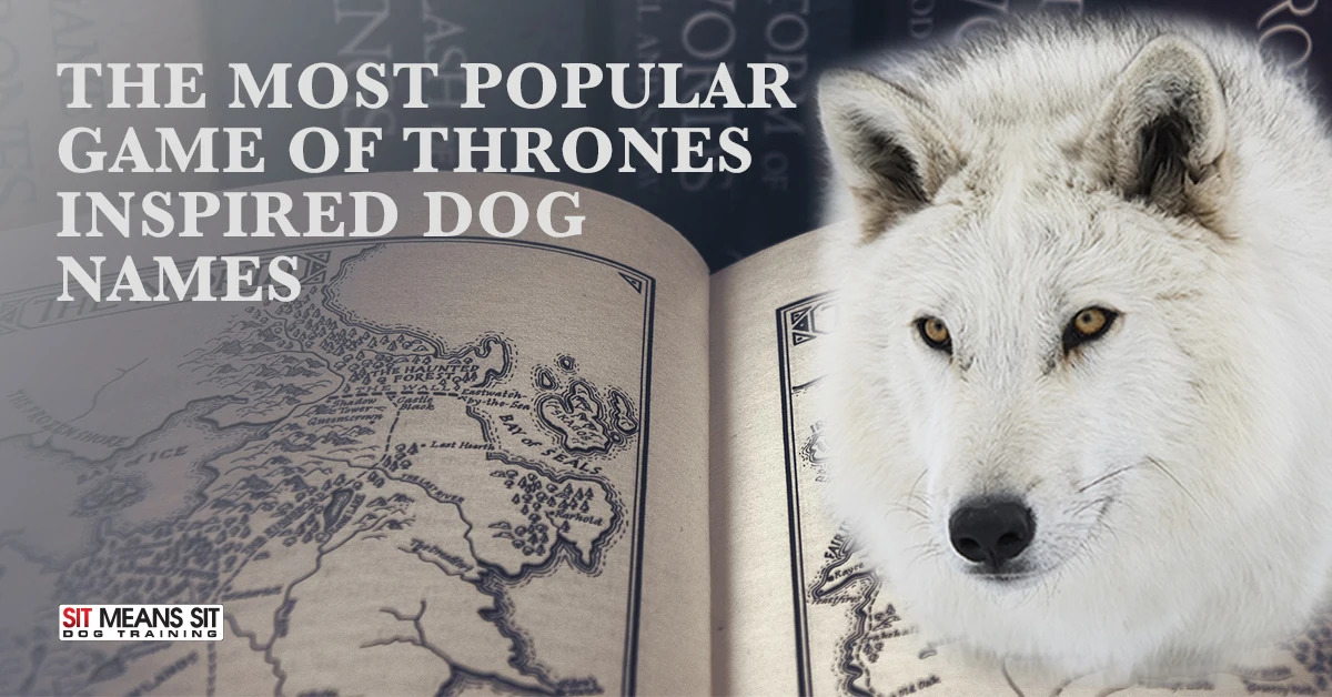 game of thrones inspired names of dogs poster with a dire wolf