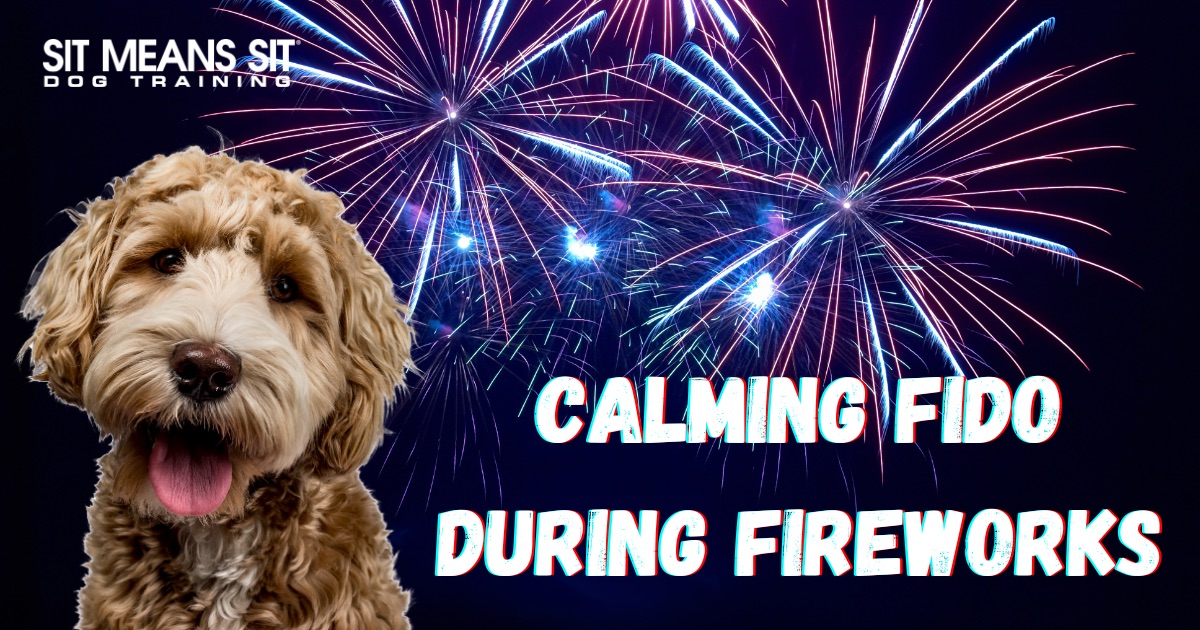 A dog smiling with the text calming fido during fireworks