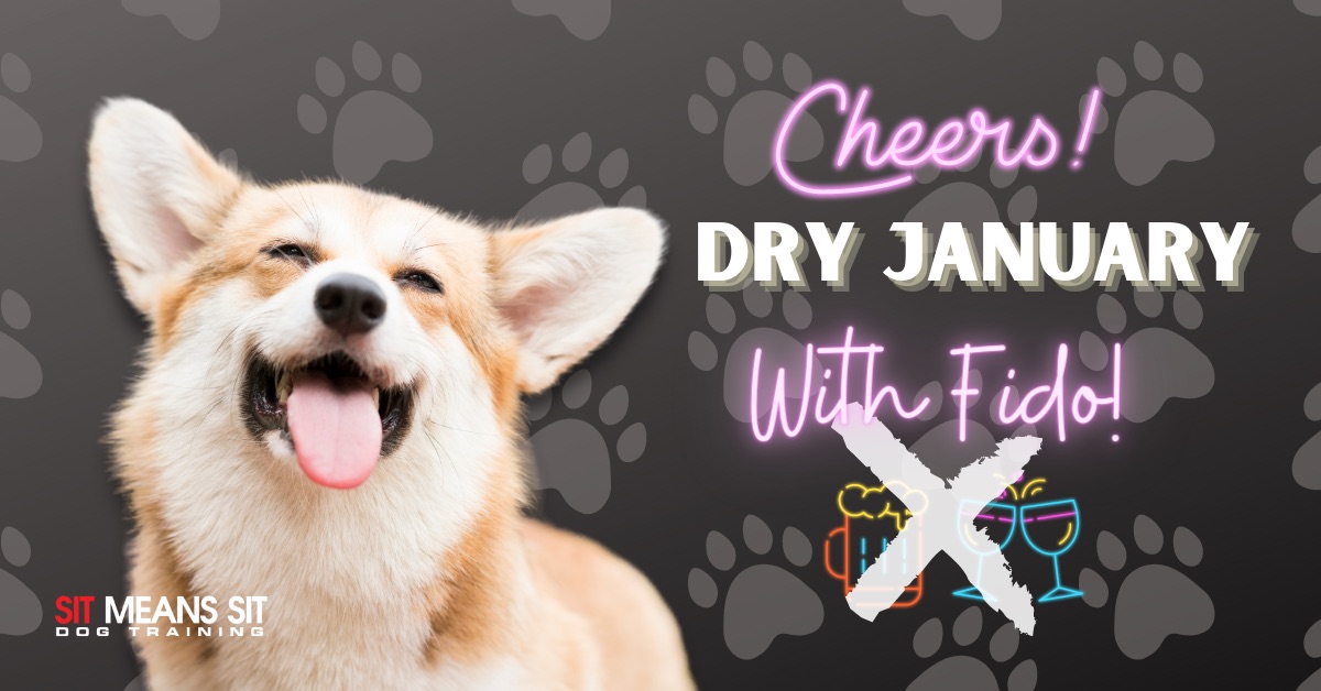 A dog smiling with the text cheers! dry january with fido poster
