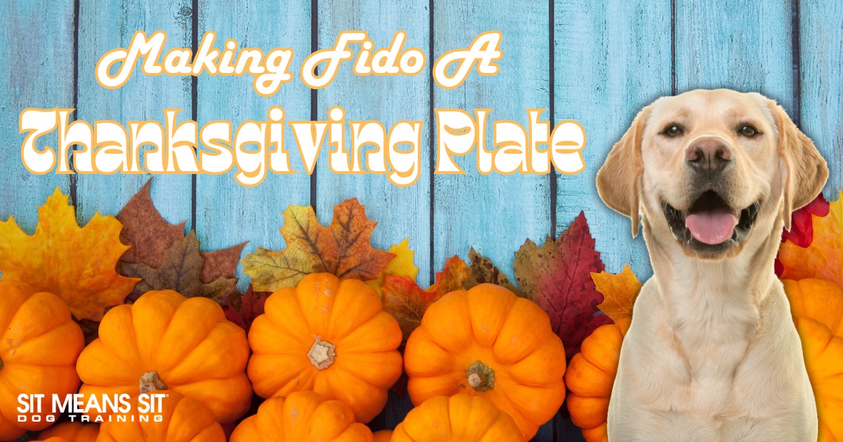 Making Your Dog Their Own Thanksgiving Plate text with a dog smiling in the poster