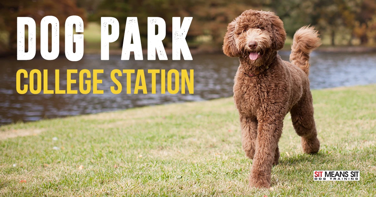 dog park college station poster with a dog walking along the river