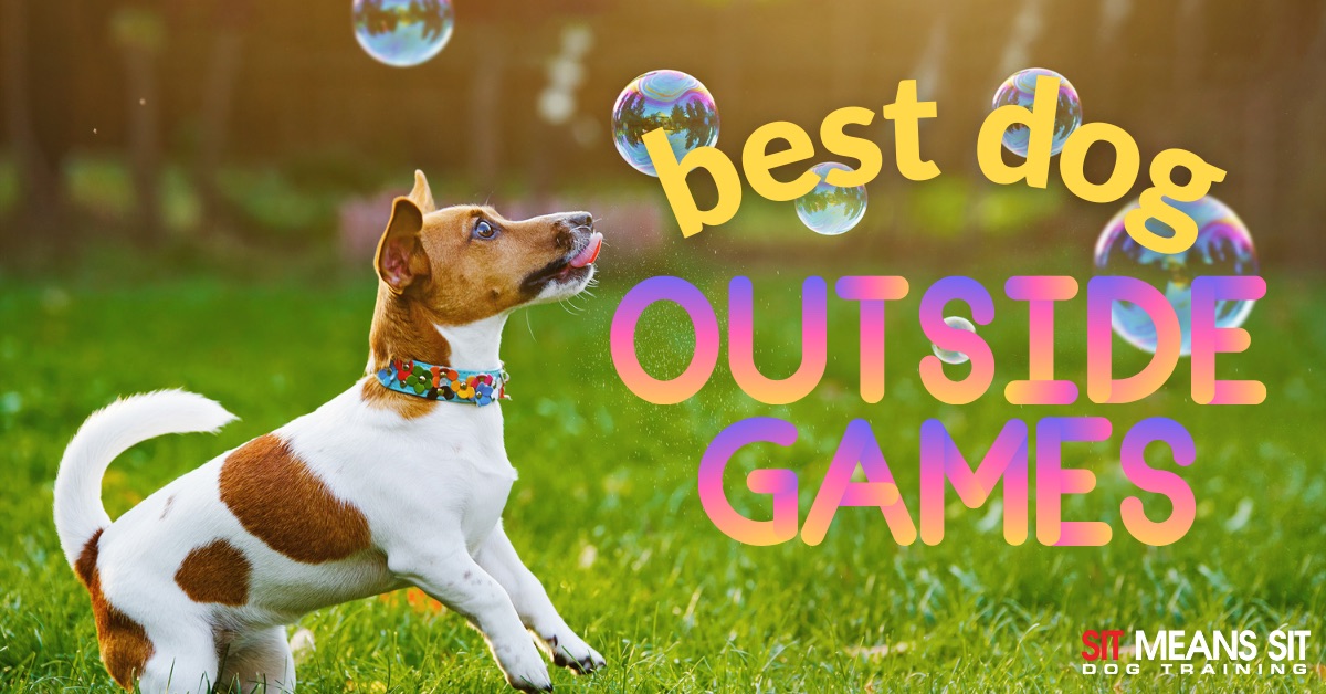 A dog playing with bubbles with the text best dog outside games poster
