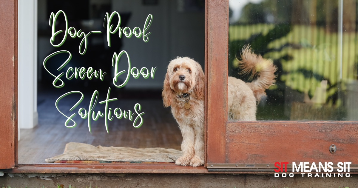 The Best Dog-Proof Screen Door Solutions text with the dog standing looking through the door in the poster
