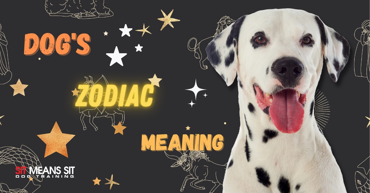 A dog smiling with the text Dog's zodiac meaning poster