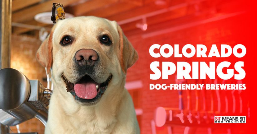Colorado Springs Dog-Friendly Breweries