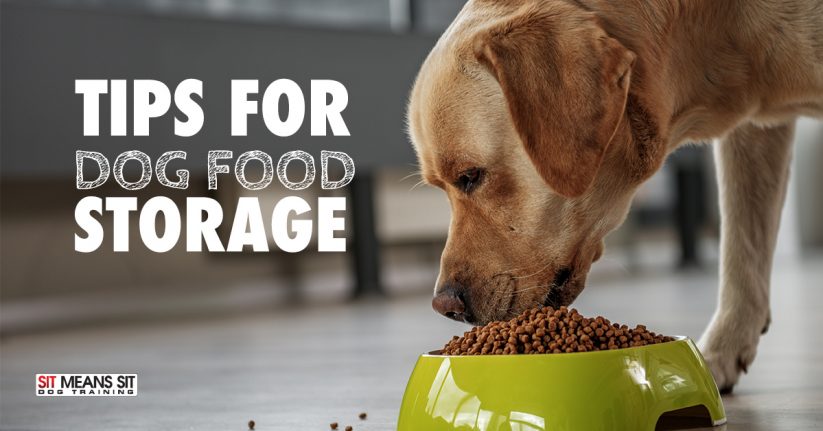 Tips for Dog Food Storage
