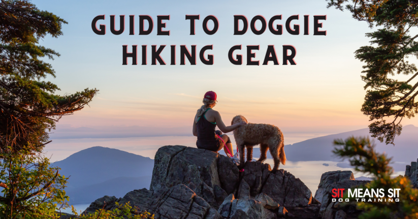 guide to doggie hiking hear poster