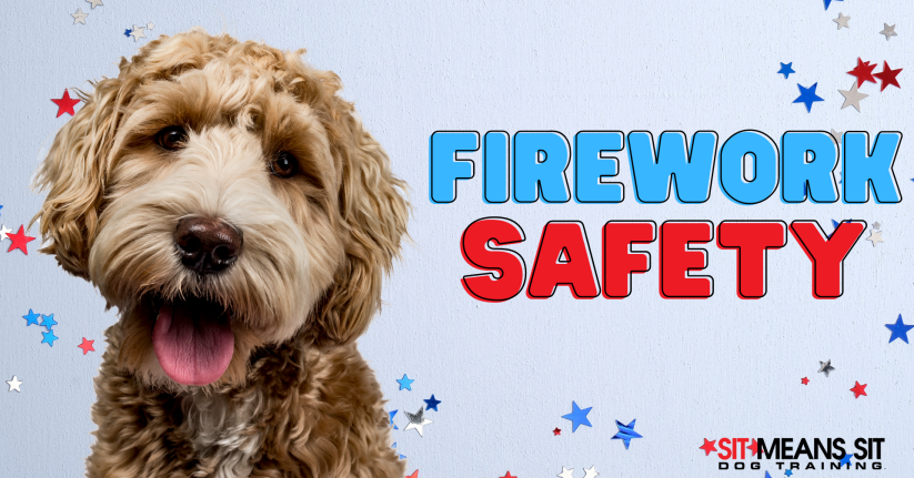 firework safety poster for dogs