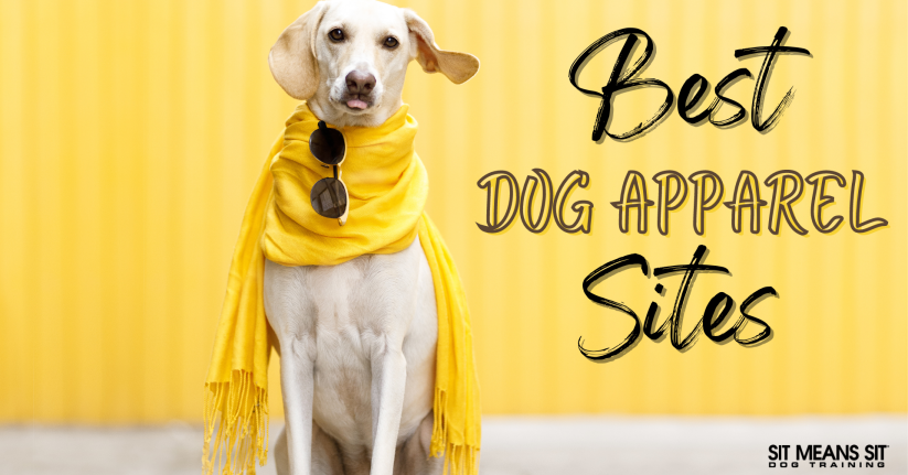Best dog apparel sites poster