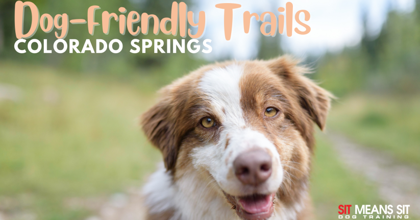 dog friendly trails Colorado springs poster