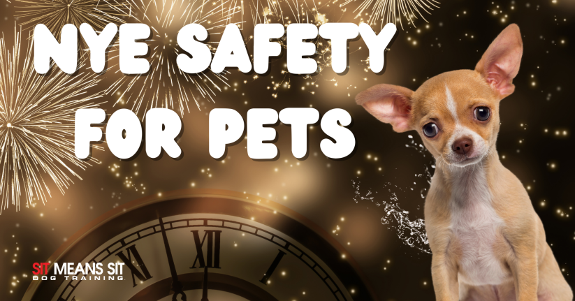 NYE safety for pets banner