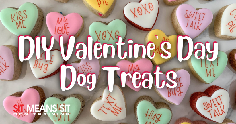 DIY valentines day dog treats poster