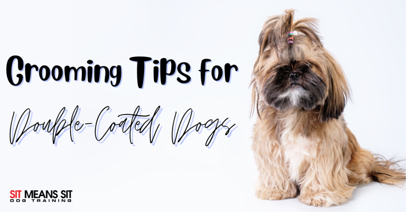 Grooming a Double Coated Dog: A Full Guide