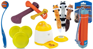 Reviewing the Best Dog Toys for Chasing and Retrieving
