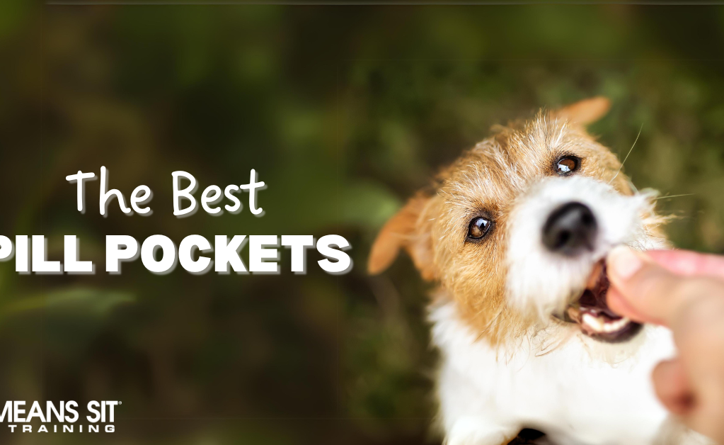 The Best Pill Pockets for Dogs